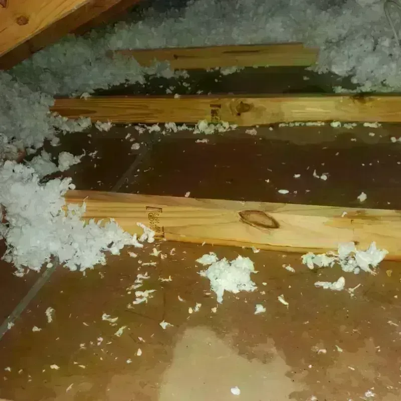 Attic Water Damage in Sheffield, AL