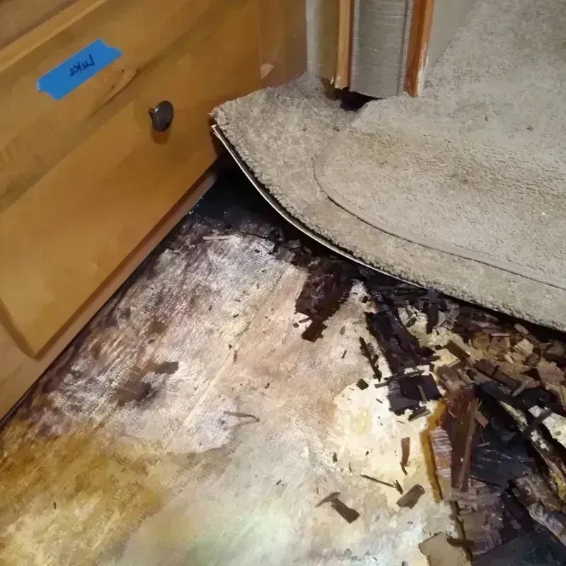 Best Wood Floor Water Damage Service in Sheffield, AL